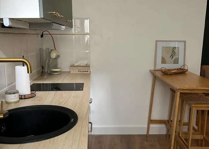 Maisonnette Plein Centre 2p Lejlighed